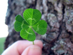 shamrock